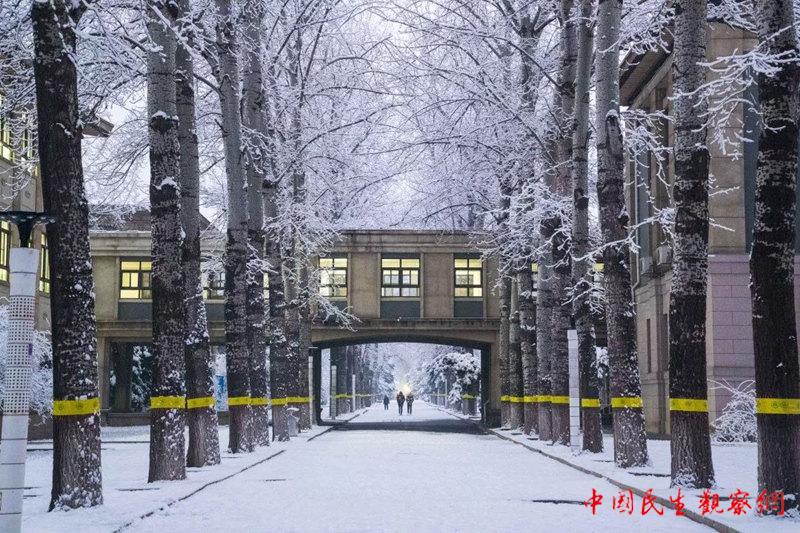 e1.jpg