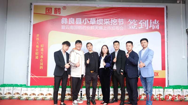 图片6_副本.png