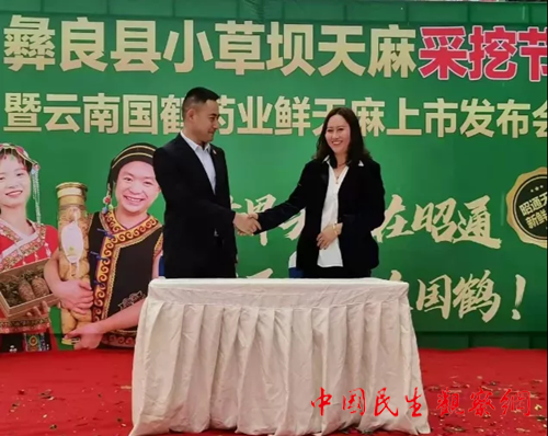 图片7_副本.png
