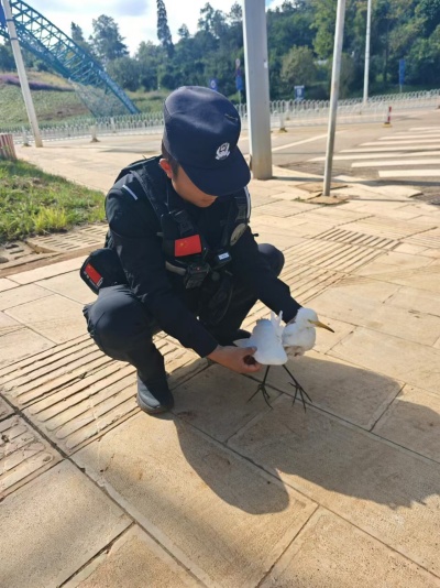 11_副本.jpg