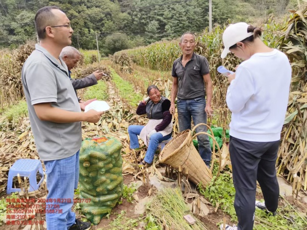 田间地头普法_副本.jpg